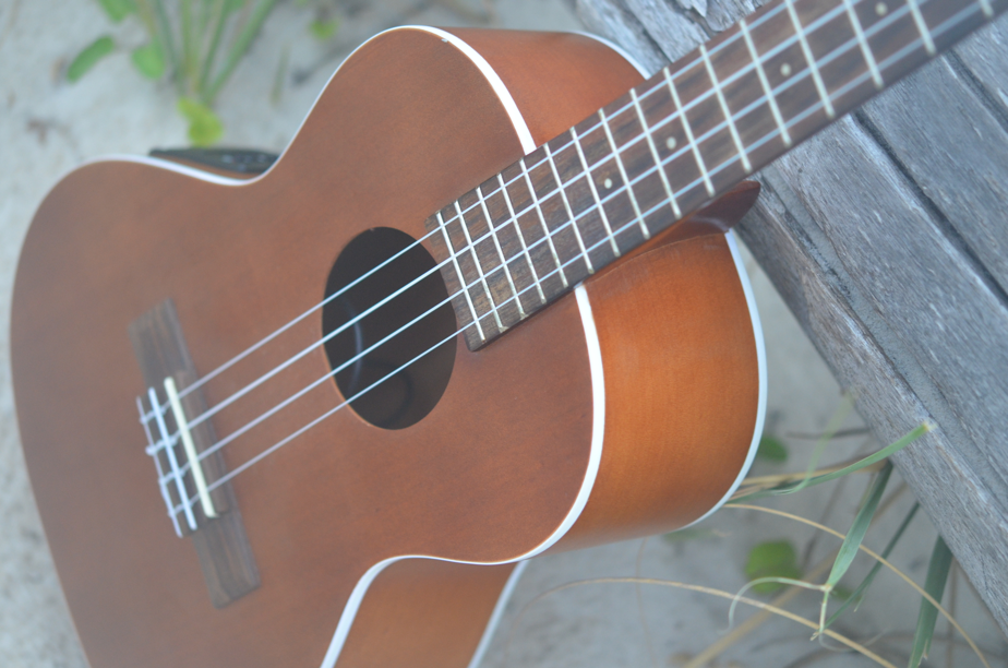 ukulele lesson st joseph mo best ukulele teacher near me music lesson violin cello lesson voice lesson piano lessons near me music store